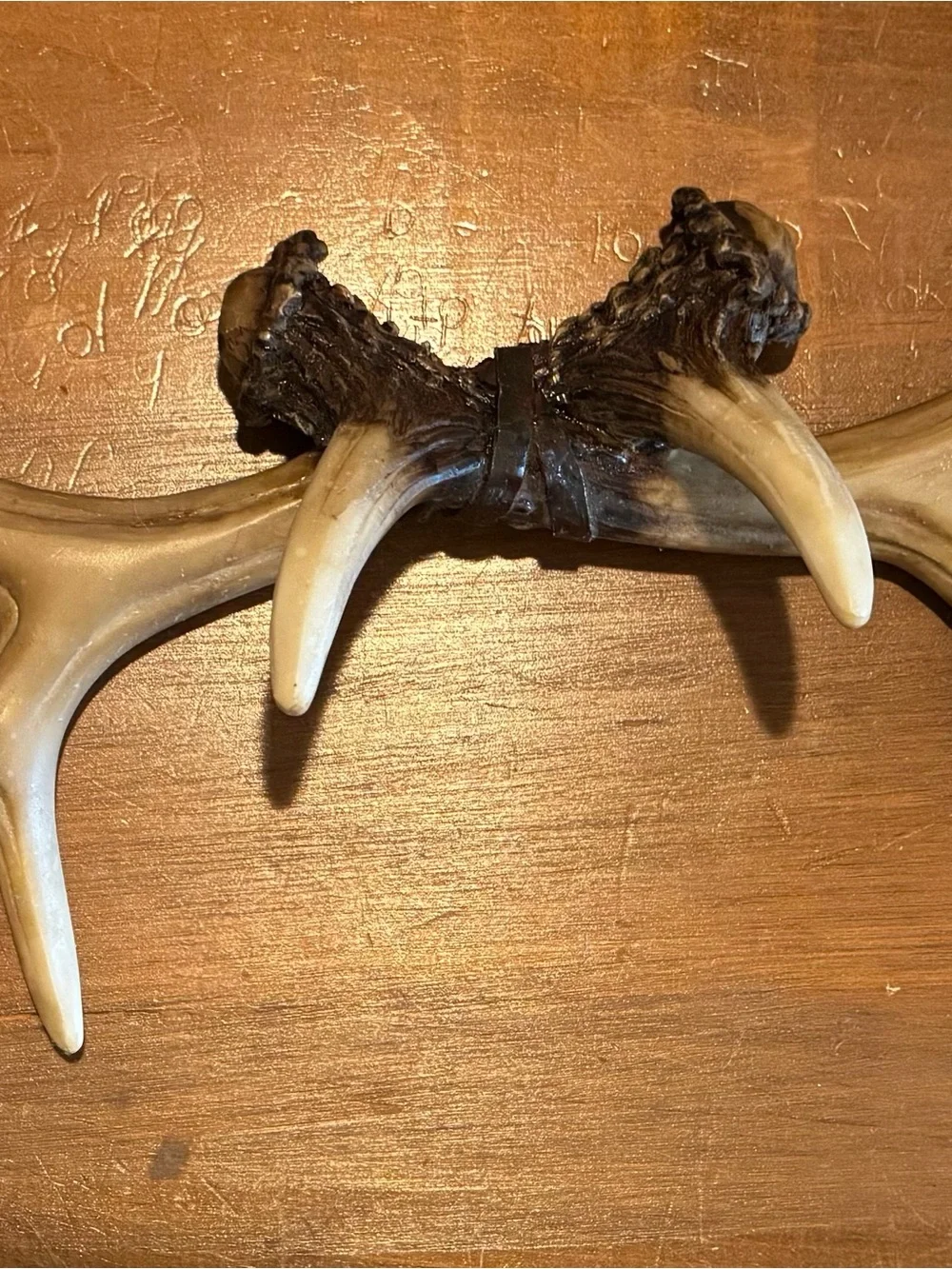 Rustic Faux Antler Wall Accent in Brown and Cream